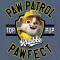 T-shirt Ruben, Ryder - Pat patrouille - bleu chiné fille/garçon - miniature variant 1