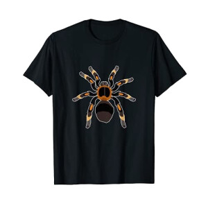 T-shirt Araignée noir homme/femme