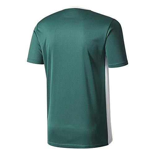 T-shirt vert collegiate green/white homme variant 0 