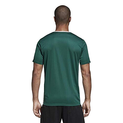 T-shirt vert collegiate green/white homme variant 2 