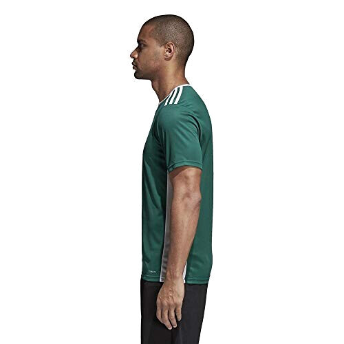 T-shirt vert collegiate green/white homme variant 3 