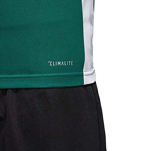 T-shirt vert collegiate green/white homme variant 5 