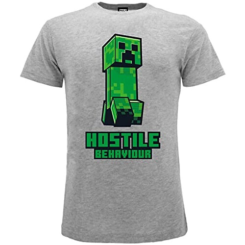 T-shirt gris fille/garçon